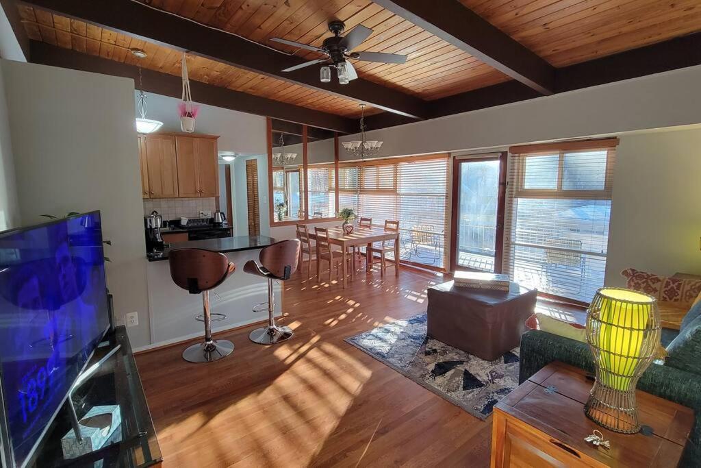 Entire One Bedroom Apartment Annandale Esterno foto