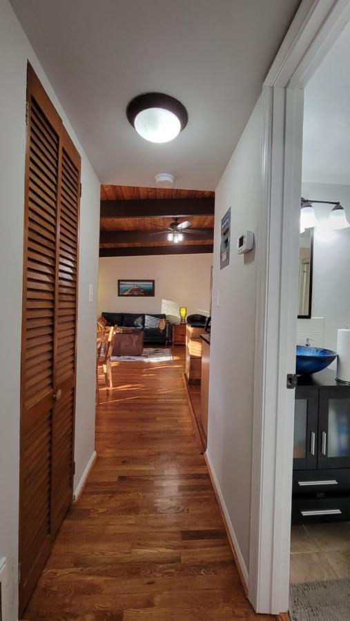 Entire One Bedroom Apartment Annandale Esterno foto