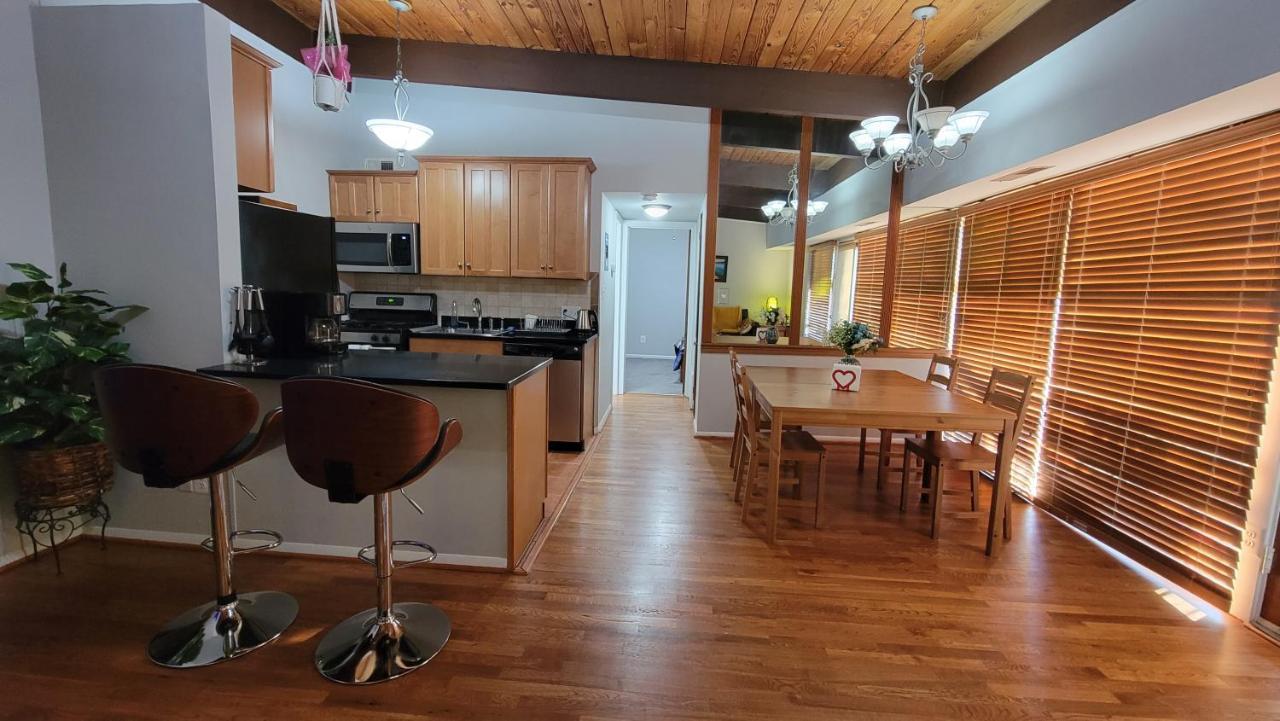 Entire One Bedroom Apartment Annandale Esterno foto