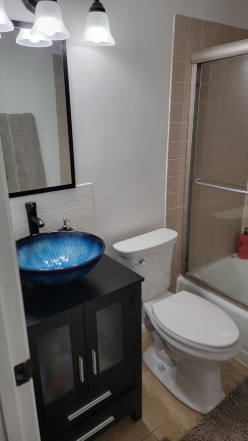 Entire One Bedroom Apartment Annandale Esterno foto
